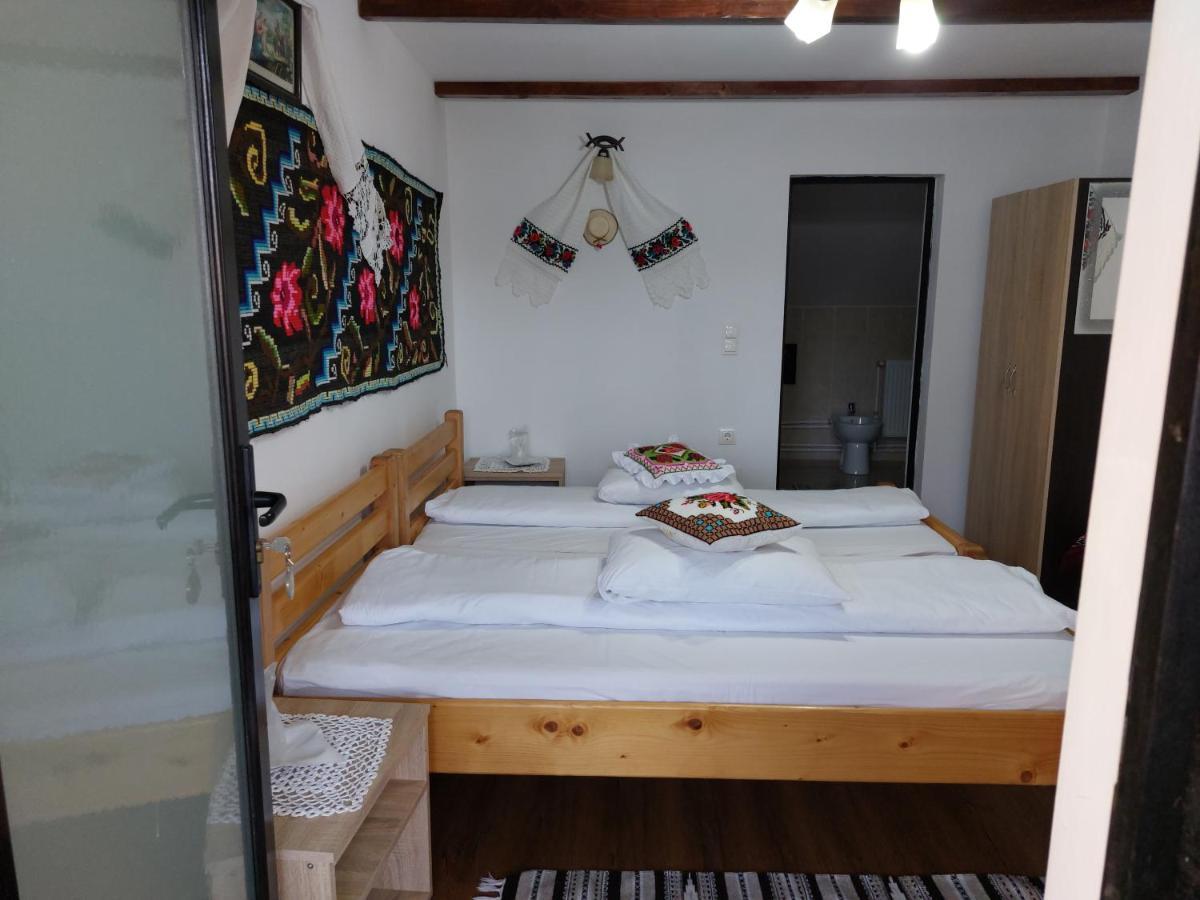 Pensiune Agroturistica "Casa Teodora" Budeşti Exterior foto