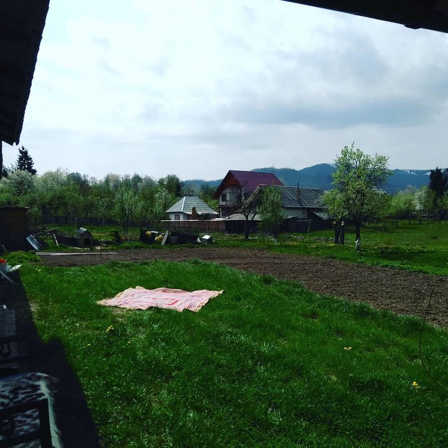 Pensiune Agroturistica "Casa Teodora" Budeşti Exterior foto
